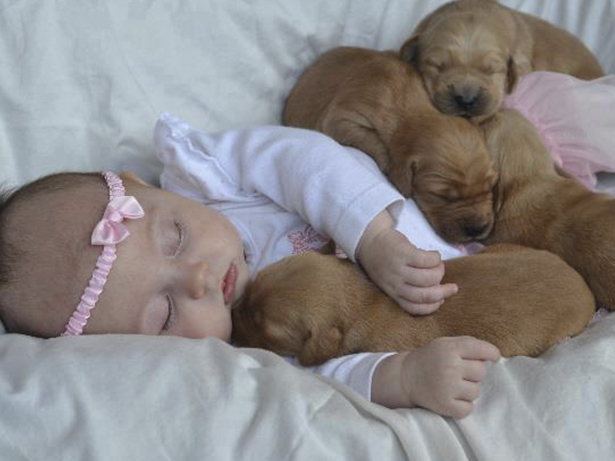 Babies and animals sleeping